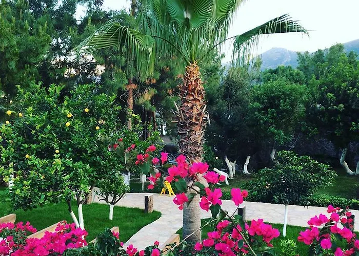 Ξενοδοχείο Beyaz Guvercin Butik